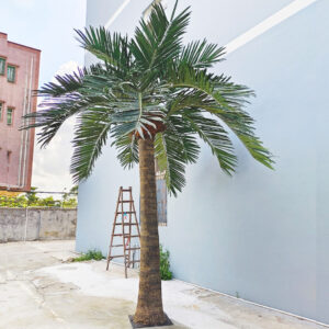 ARECA PALM TREE