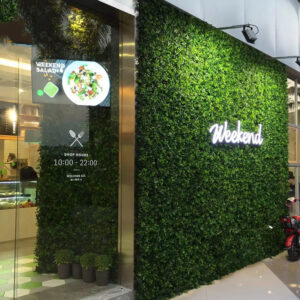 ARTIFICIAL GRASS WALL